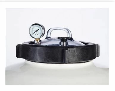 Zandfilter PPG Deluxe 30" 4 Zandfilter PPG Deluxe 30" - Afbeelding 2