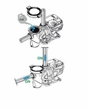 DAB E.Swim 150M 1,10 KW / 230 Volt 6 DAB E.Swim 150M 1,10 KW / 230 Volt - Afbeelding 4
